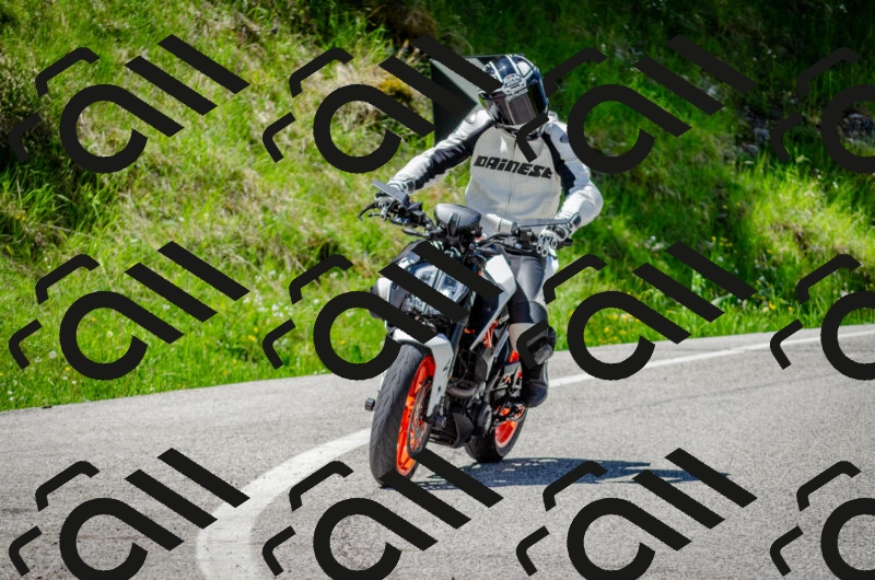 202506011256-DSC_4639_c2