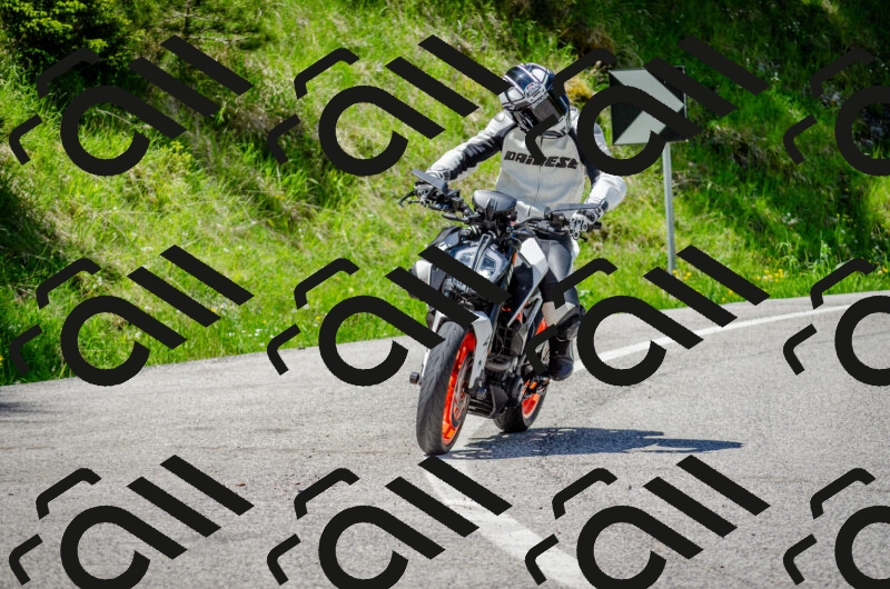 202506011256-DSC_4640_c2