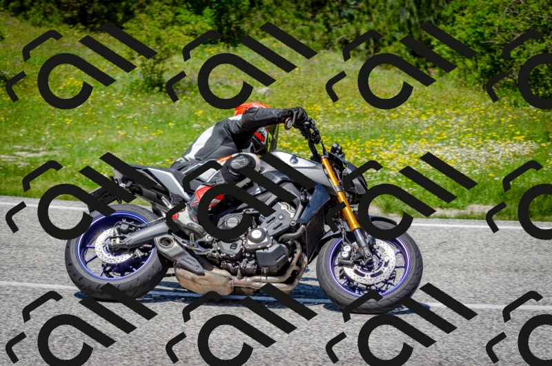 202506011257-DSC_4643_c2