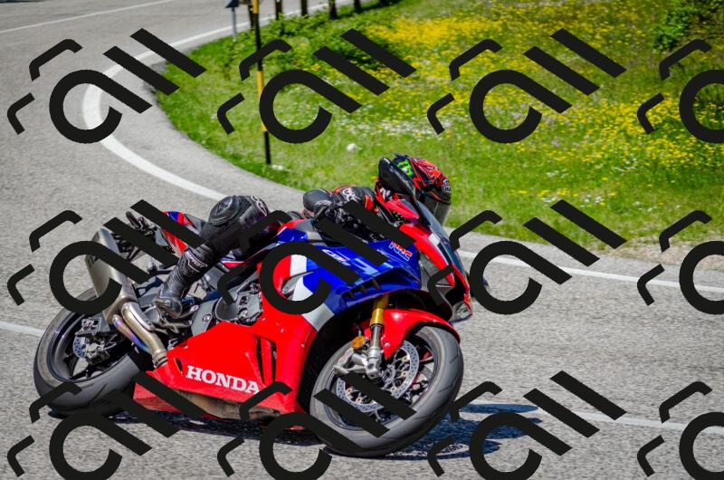 202506011257-DSC_4647_c2