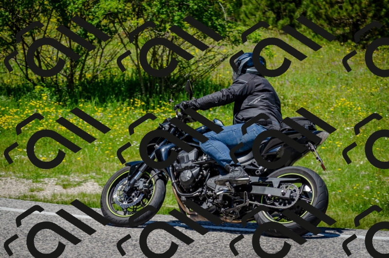 202506011257-DSC_4654_c2