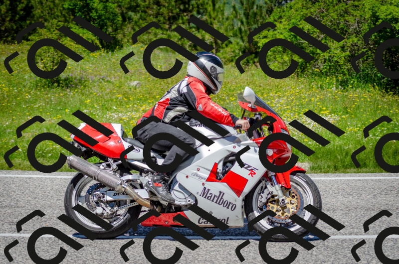 202506011258-DSC_4659_c2