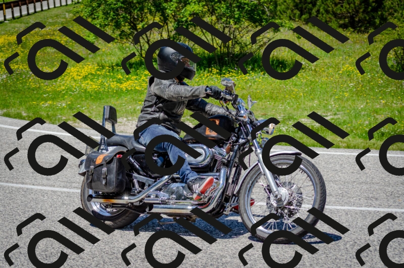 202506011258-DSC_4662_c2