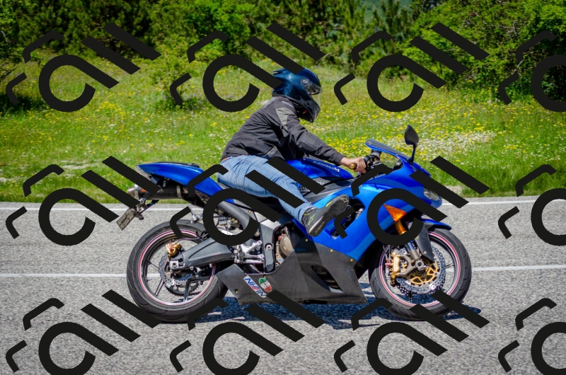 202506011258-DSC_4665_c2