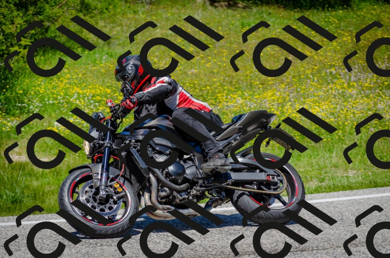 202506011259-DSC_4682_c2