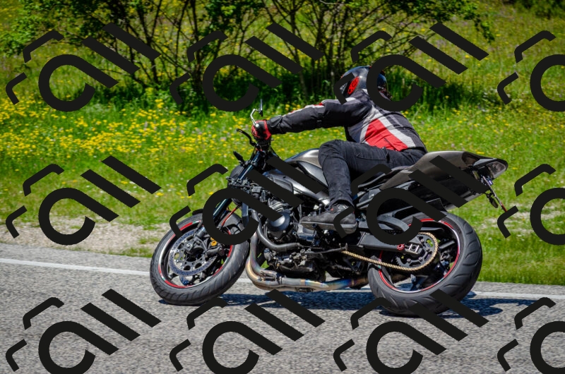 202506011259-DSC_4683_c2