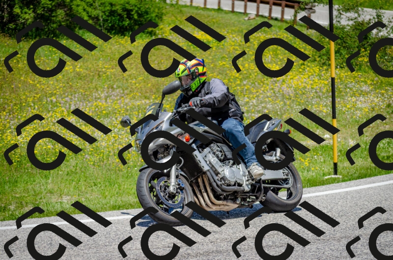 202506011259-DSC_4684_c2