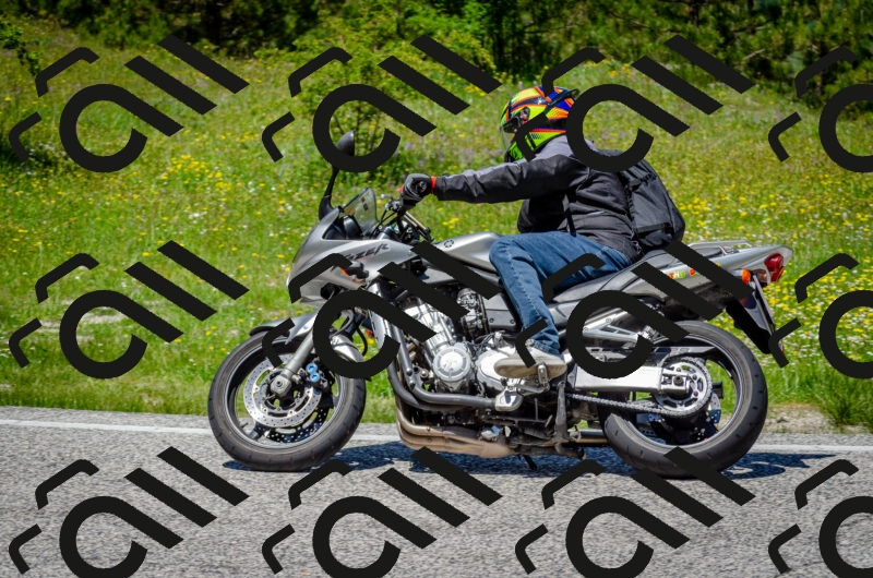 202506011259-DSC_4685_c2