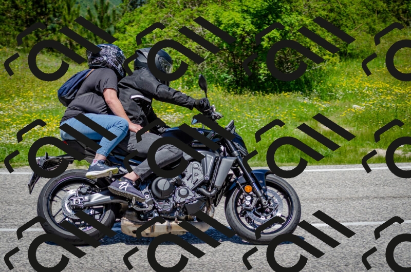 202506011259-DSC_4687_c2