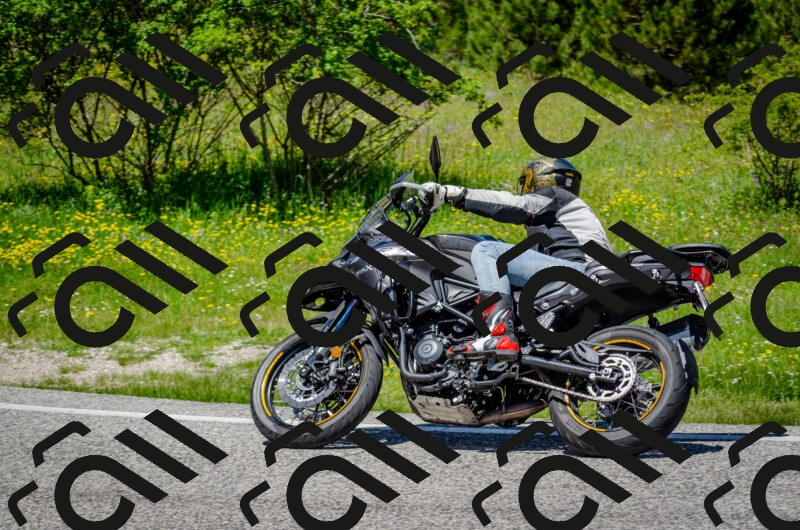 202506011259-DSC_4690_c2