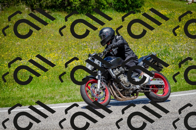 202506011259-DSC_4692_c2