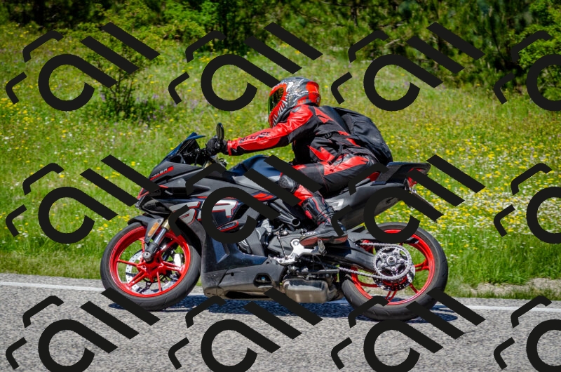 202506011259-DSC_4694_c2