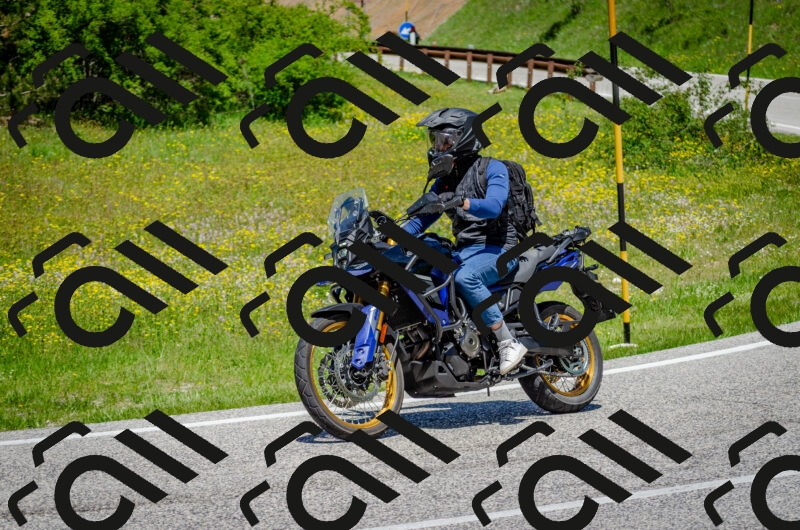 202506011300-DSC_4703_c2