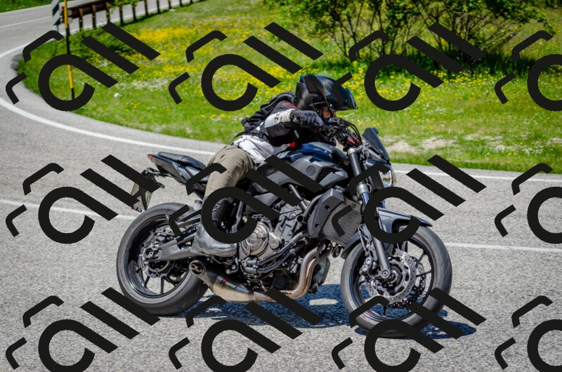 202506011301-DSC_4707_c2