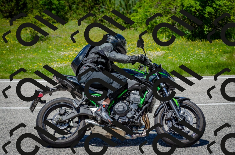 202506011301-DSC_4716_c2