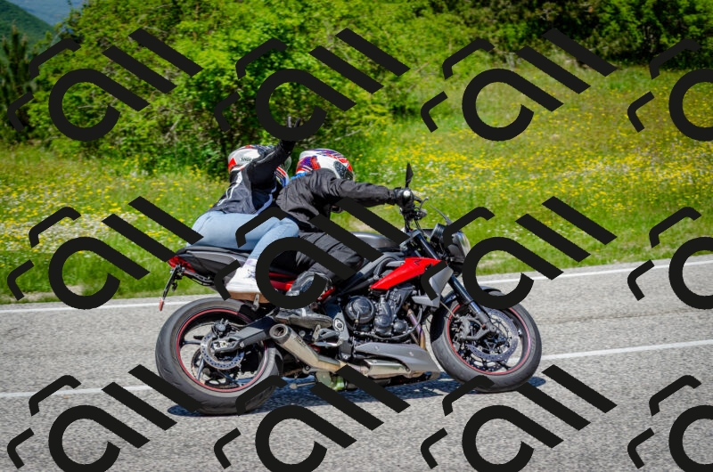 202506011302-DSC_4718_c2