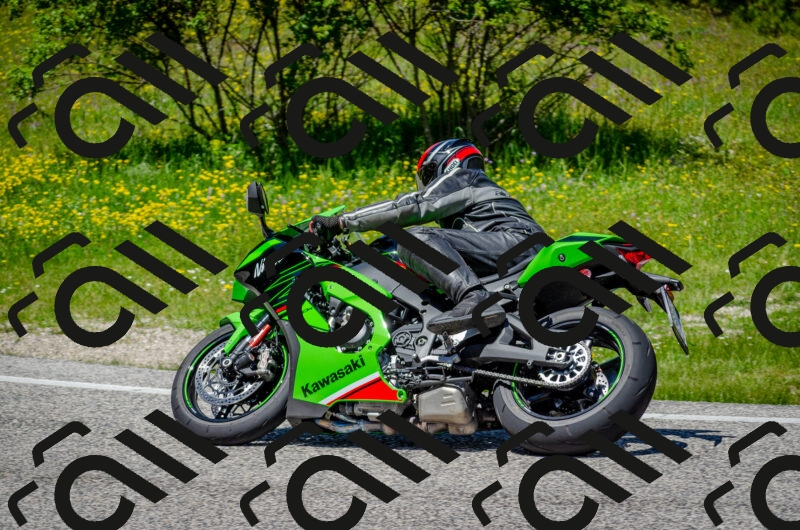 202506011302-DSC_4721_c2