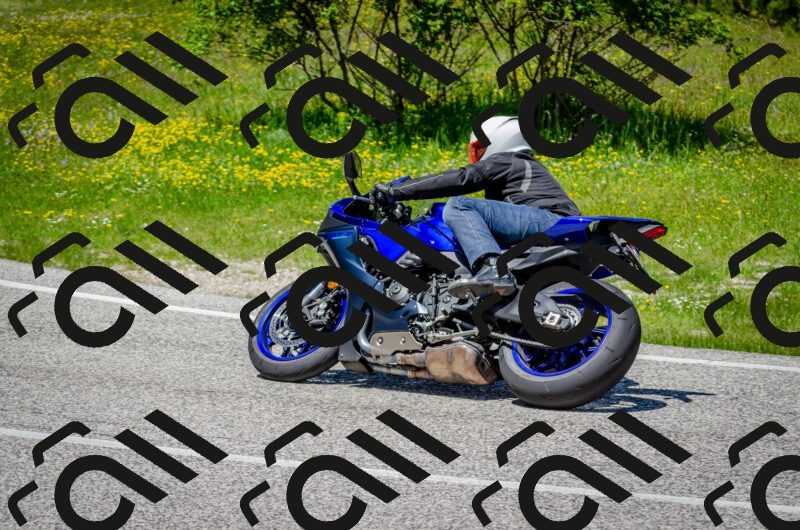 202506011302-DSC_4728_c2