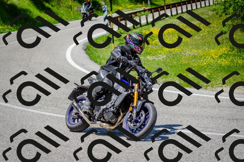 202506011302-DSC_4731_c2