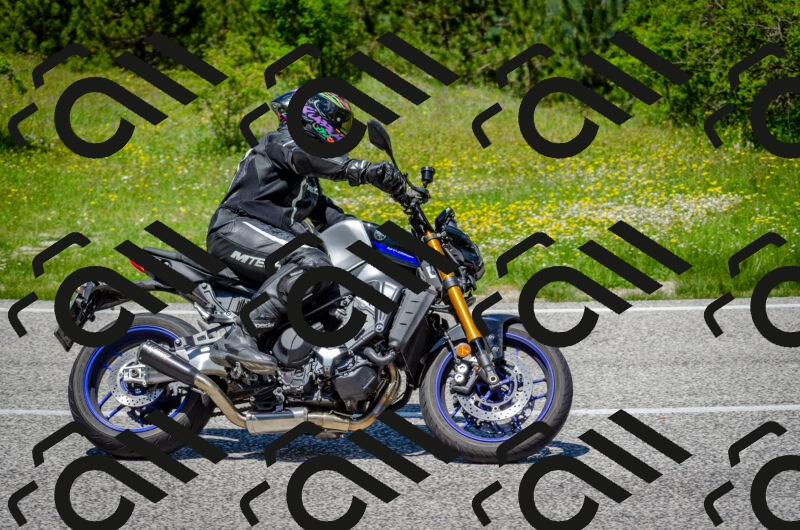 202506011302-DSC_4732_c2