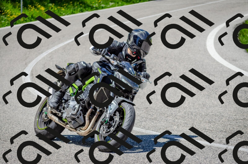 202506011302-DSC_4739_c2