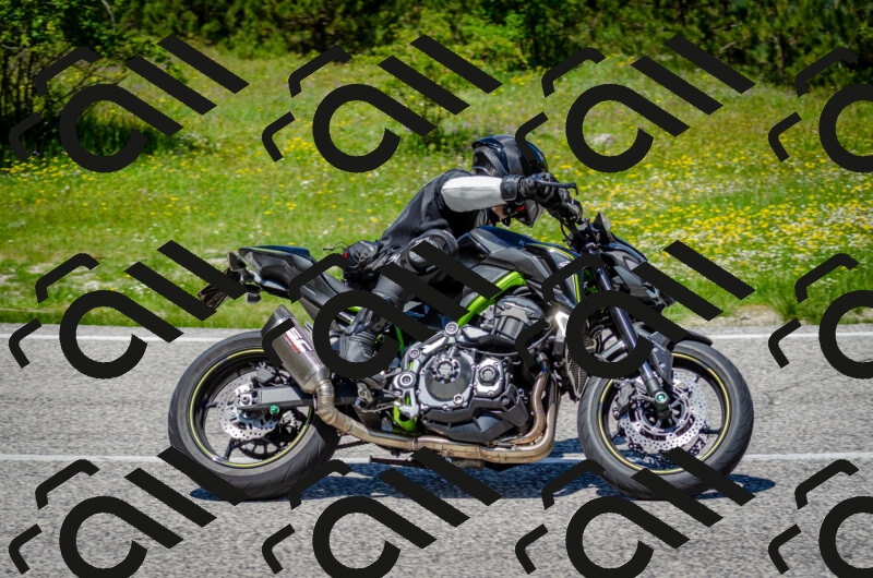 202506011302-DSC_4740_c2