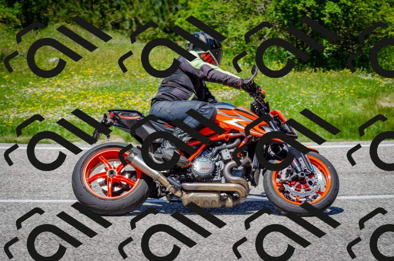 202506011303-DSC_4743_c2