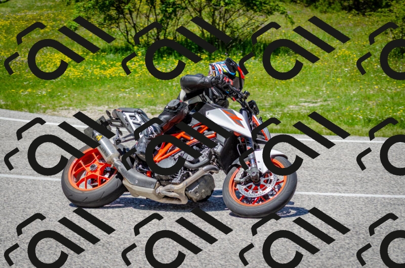 202506011303-DSC_4744_c2