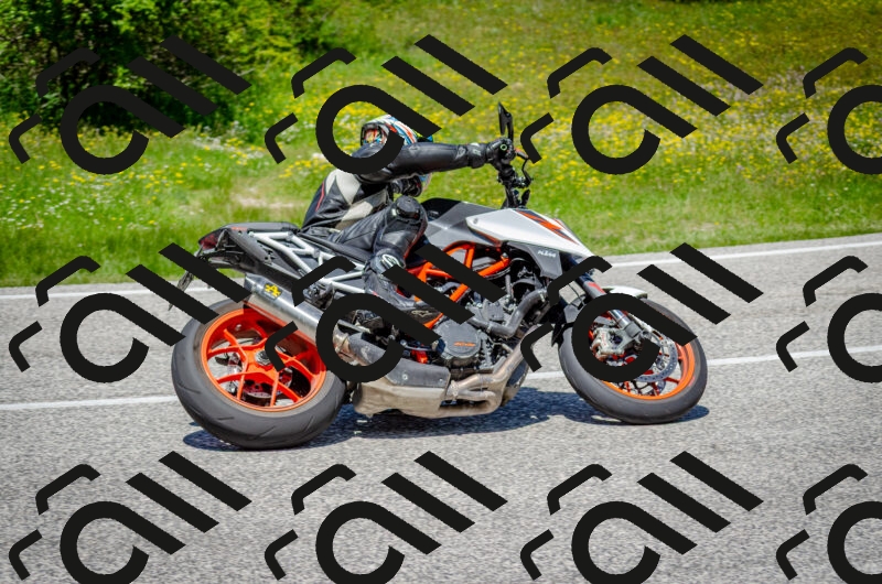 202506011303-DSC_4745_c2