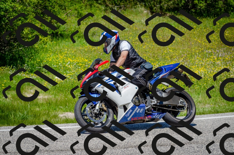 202506011303-DSC_4747_c2