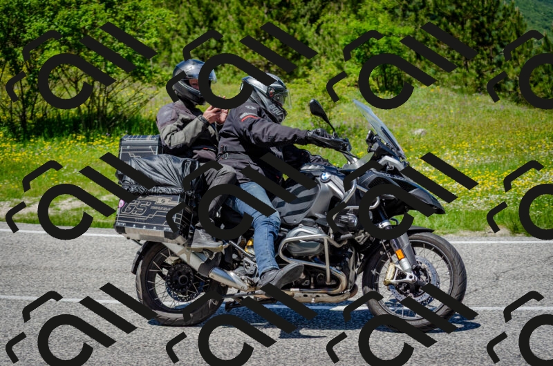 202506011303-DSC_4753_c2