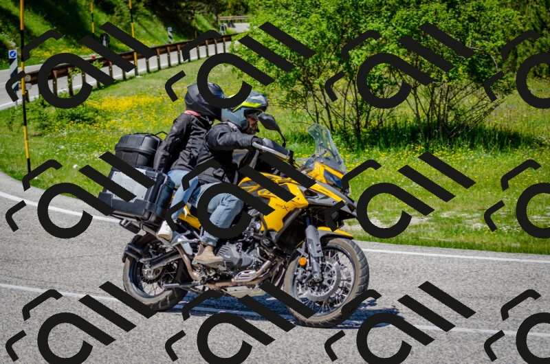 202506011303-DSC_4755_c2