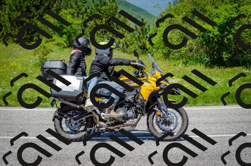 202506011303-DSC_4756_c2