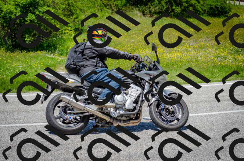 202506011304-DSC_4775_c2