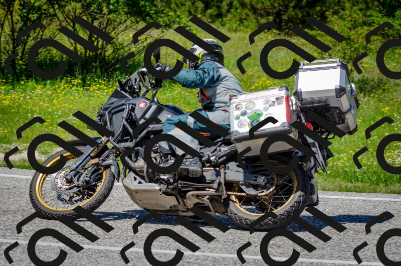 202506011305-DSC_4780_c2