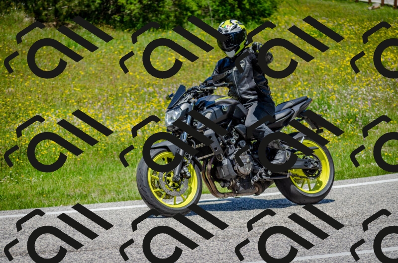 202506011305-DSC_4785_c2