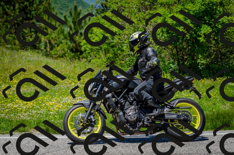 202506011305-DSC_4786_c2