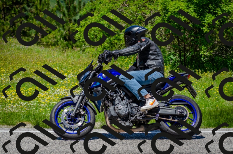 202506011305-DSC_4792_c2