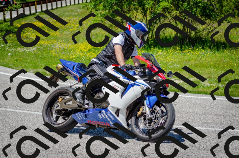 202506011306-DSC_4801_c2