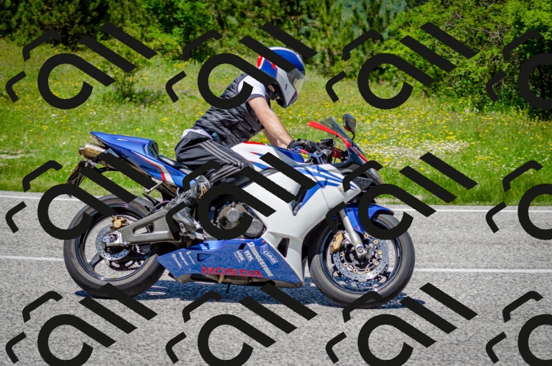 202506011306-DSC_4802_c2