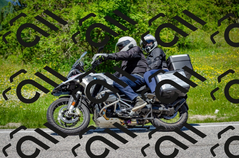 202506011306-DSC_4805_c2