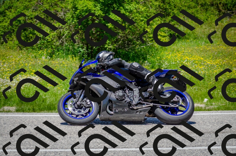 202506011307-DSC_4808_c2