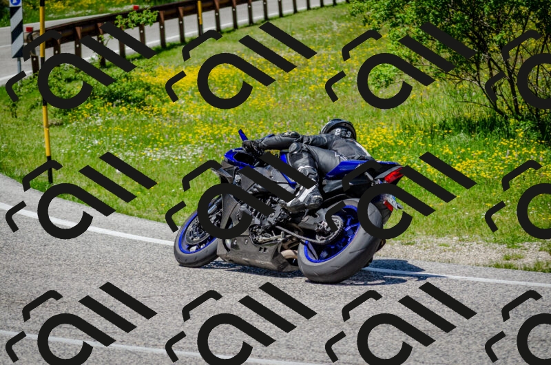 202506011307-DSC_4810_c2