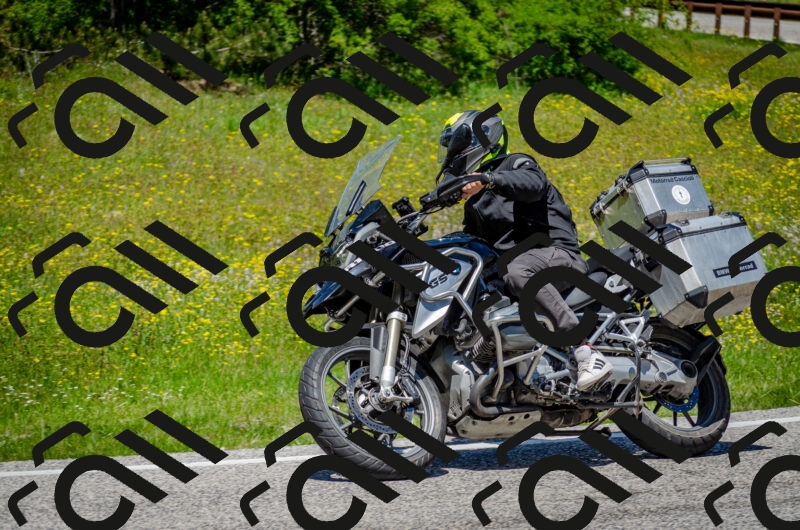 202506011307-DSC_4812_c2