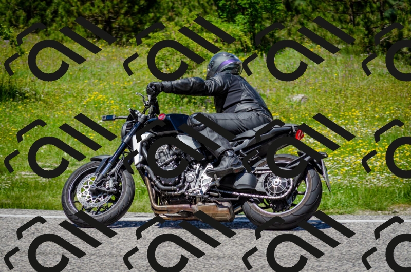 202506011307-DSC_4814_c2