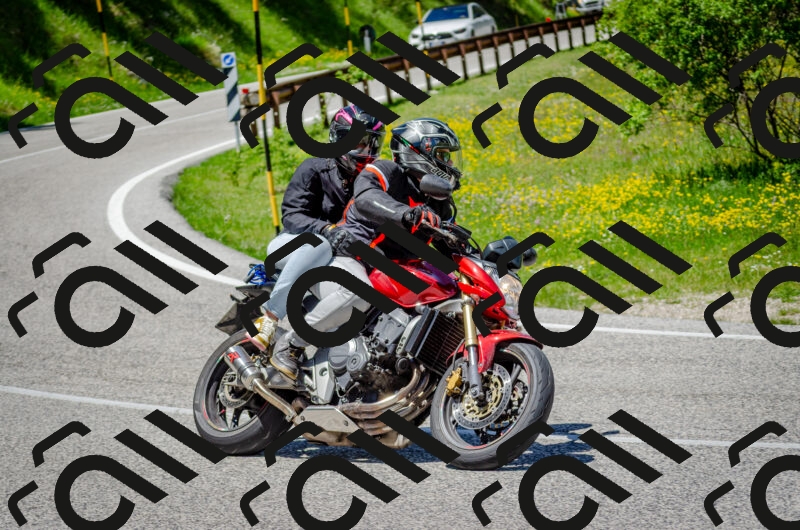 202506011308-DSC_4817_c2