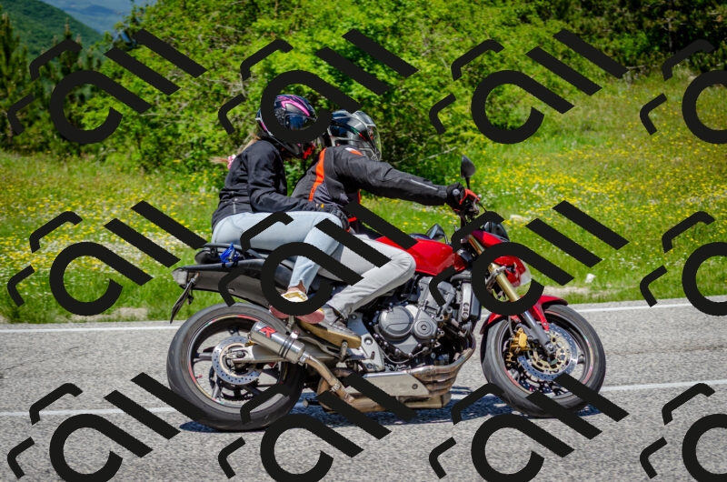 202506011308-DSC_4818_c2