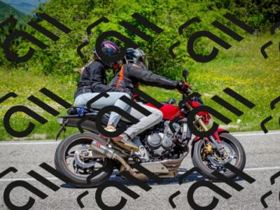 202506011308-DSC_4818_c2