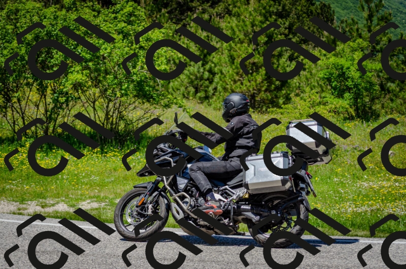 202506011309-DSC_4828_c2