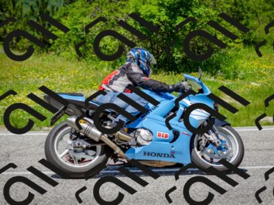 202506011309-DSC_4837_c2